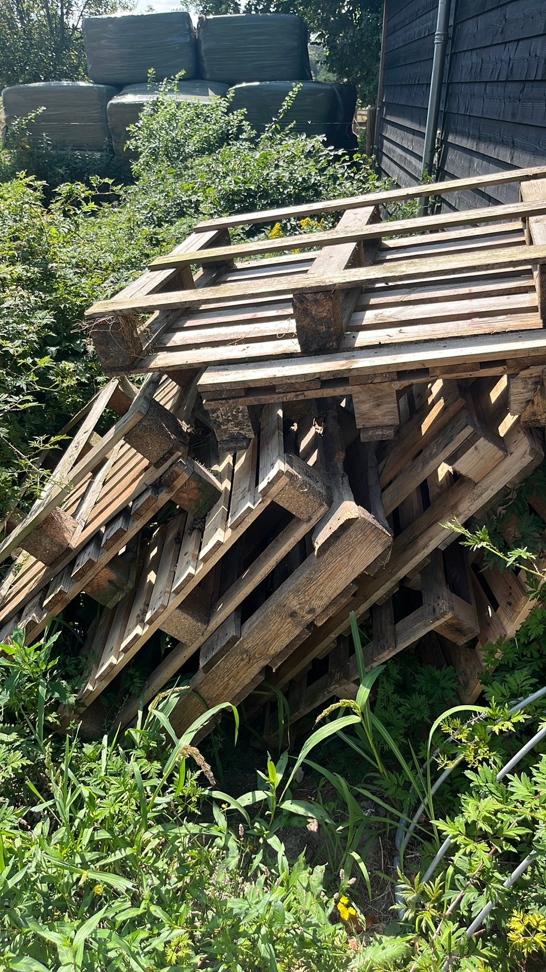 Pallets, Ophalen, Gebruikt, Pallet, Minder dan 200 cm