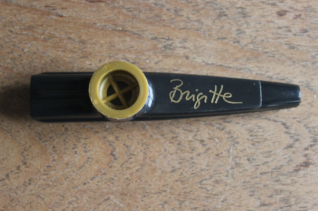 Brigitte Kaandorp - Kazoo - Cabaretprogramma Zó, Ophalen of Verzenden, Nieuw, Instrument of Toebehoren