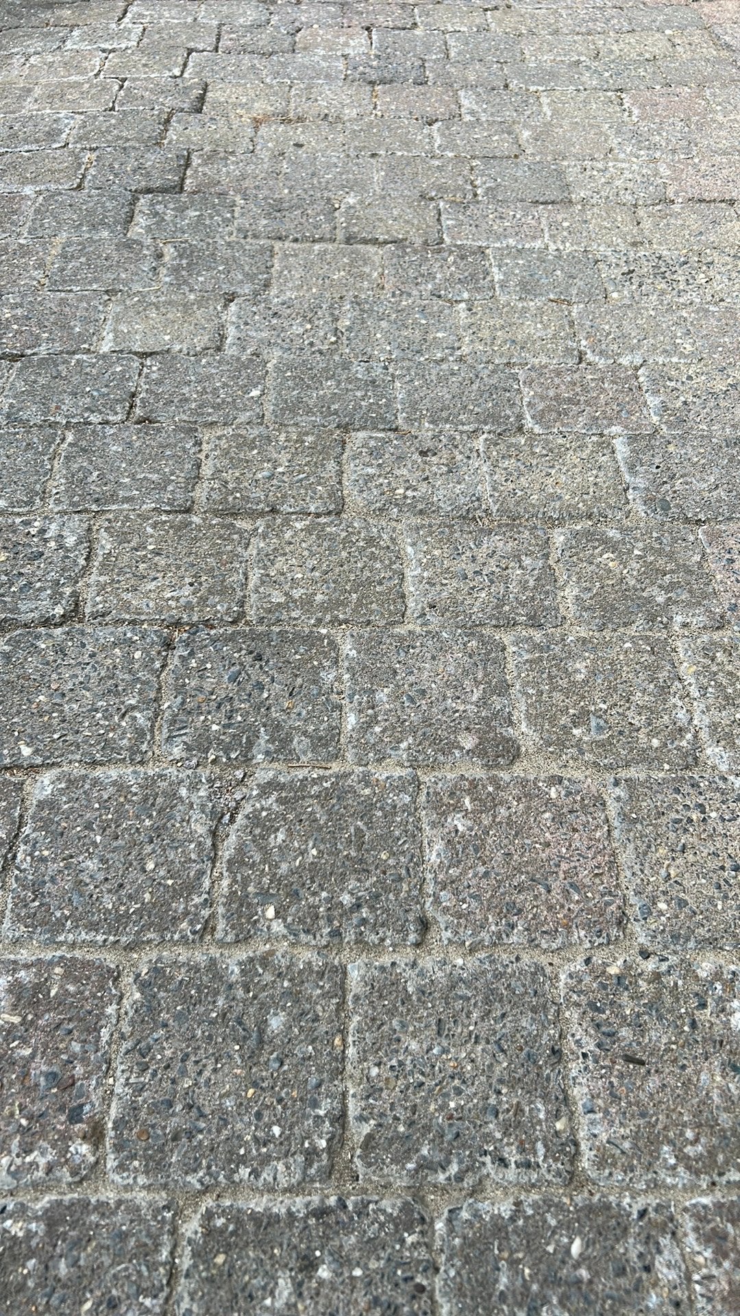Gratis 50m2 gebruikte betonstenen beschikbaar, Ophalen, Gebruikt, Klinkers, 10 m² of meer