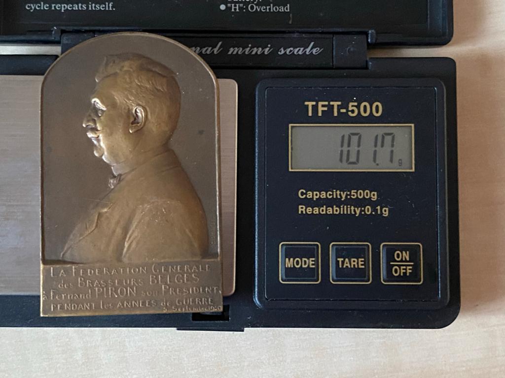 Plaquette Fernand Piron Belgische Brouwersfederatie medaille, Ophalen of Verzenden, Brons, Buitenland