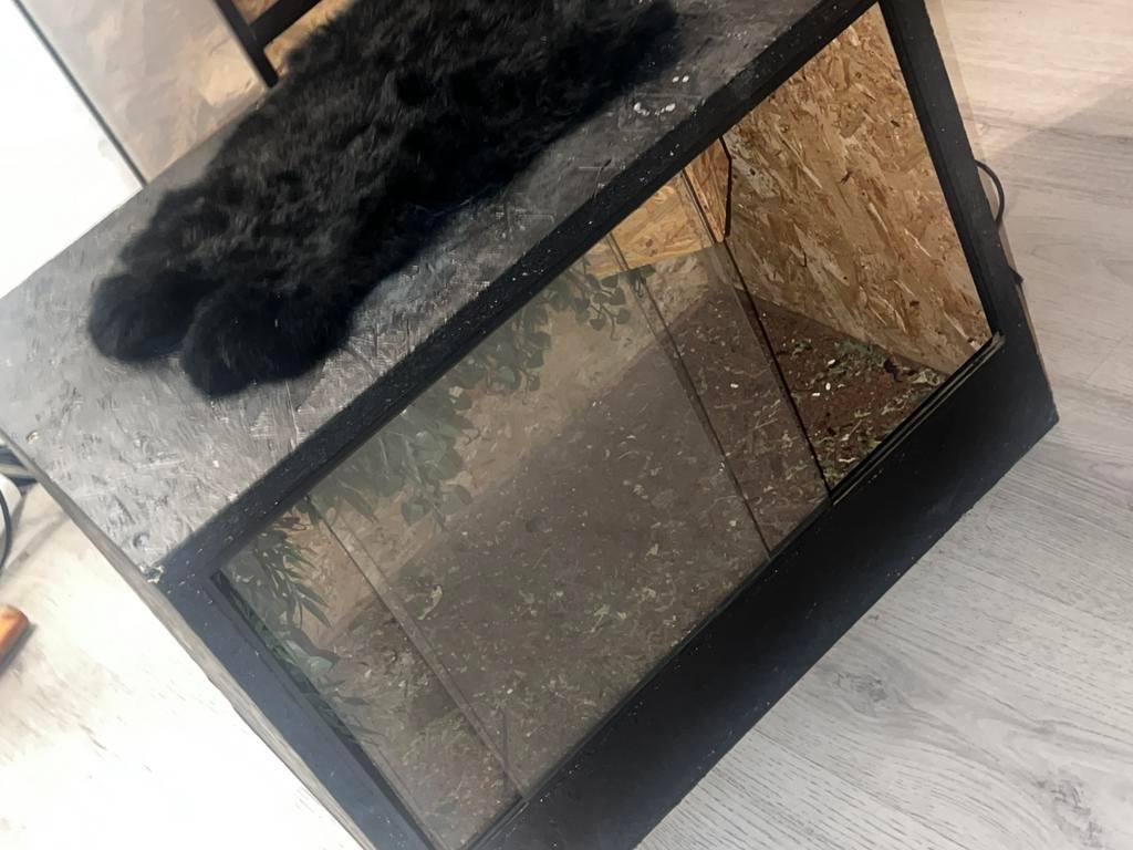 Terrarium, Ophalen, Zo goed als nieuw