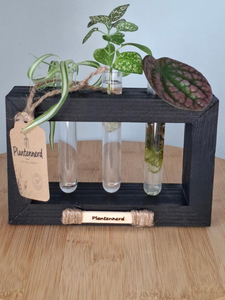 🍀 Handgemaakt Stekstation️ By Plantennerd, Verzenden, Halfschaduw, Minder dan 100 cm