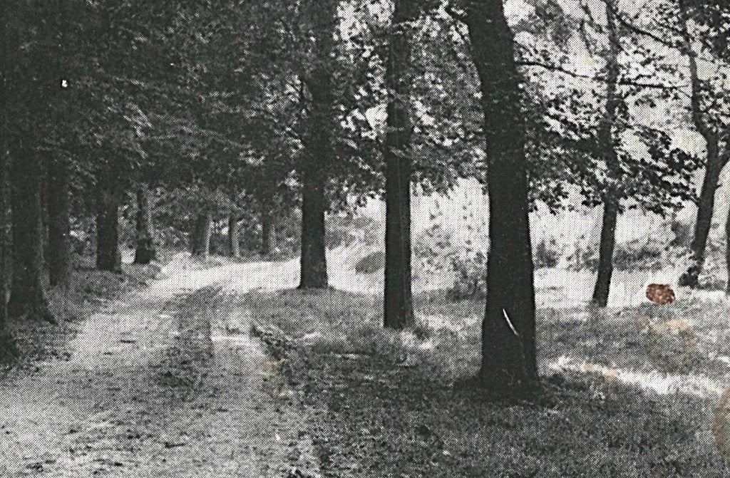940484	Doetinchem	Kruisberg	1957	Gelopen met Postzegel, Verzamelen, Ophalen of Verzenden, 1940 tot 1960, Gelopen, Gelderland