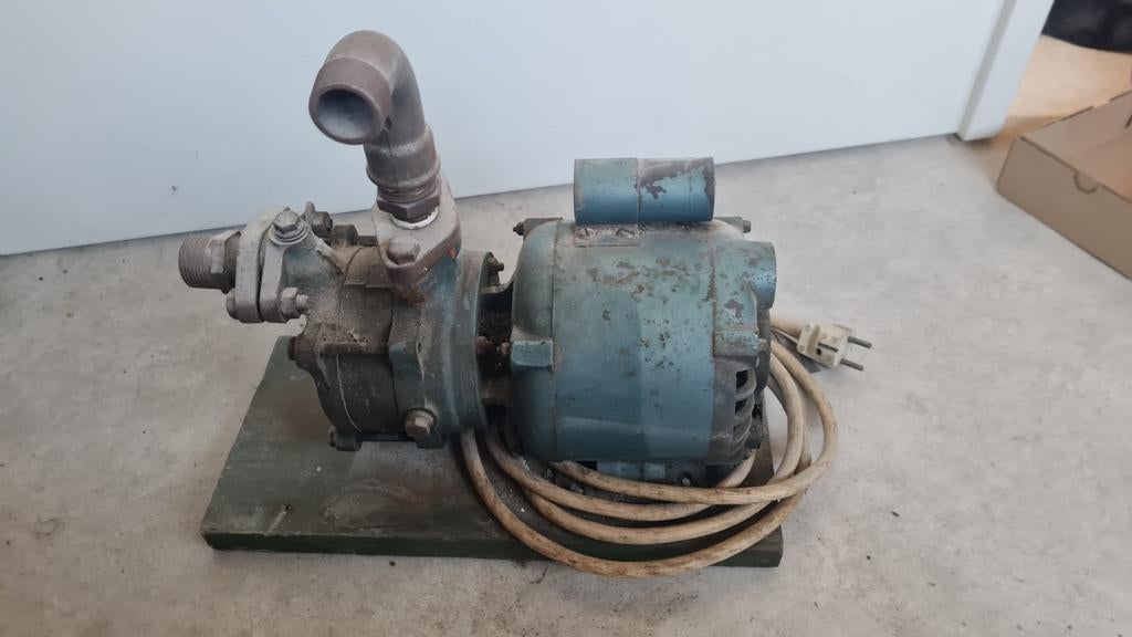 ELNOR Waterpomp 0,25 kW - Ideaal voor tuin en huis, Tuin en Terras, Waterpompen, Ophalen