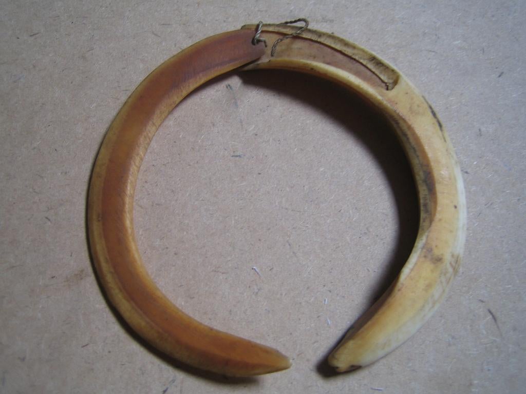 Wild Zwijn Armband, Asmat, Papua Nieuw Guinea, Ophalen of Verzenden