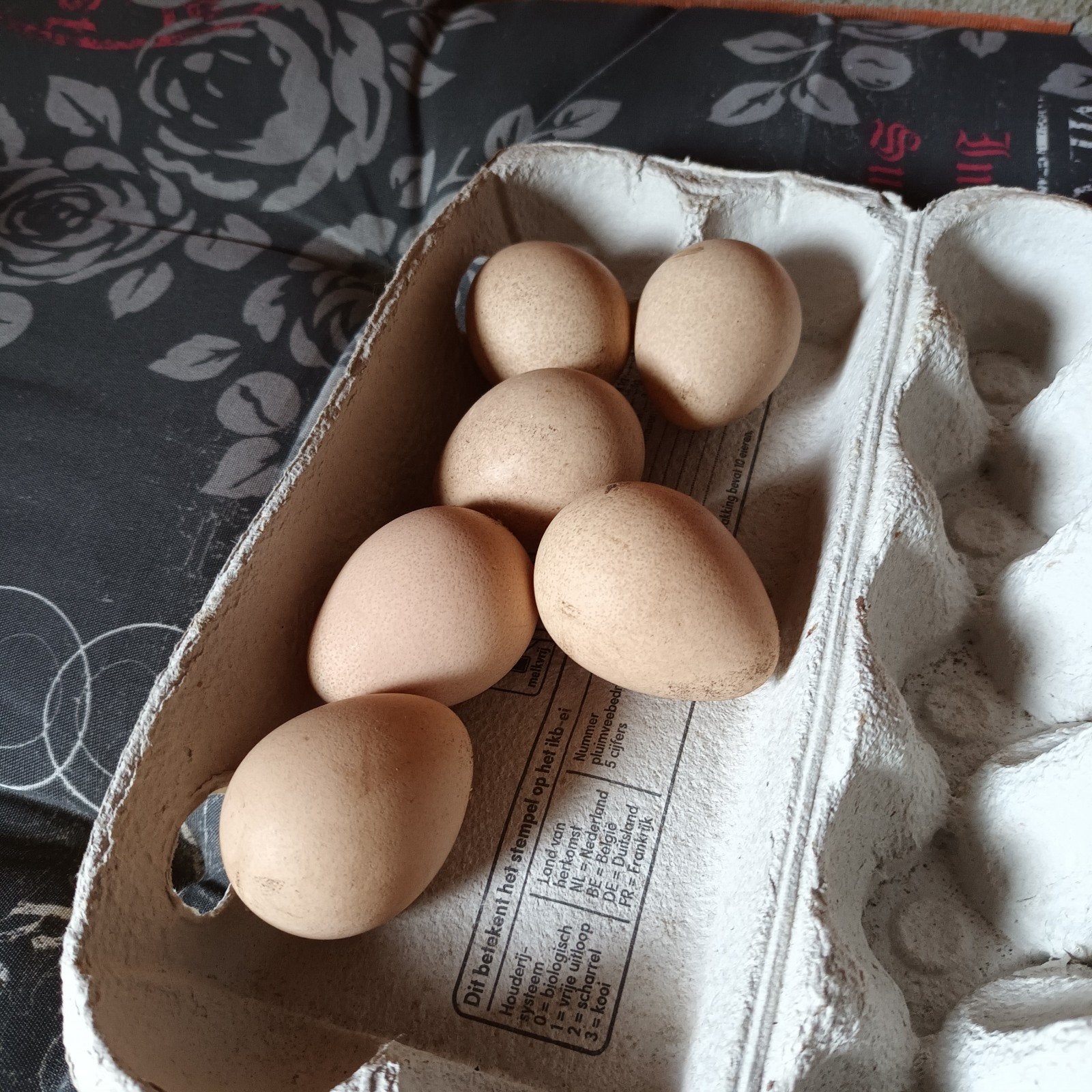 Parelhoender broedeieren