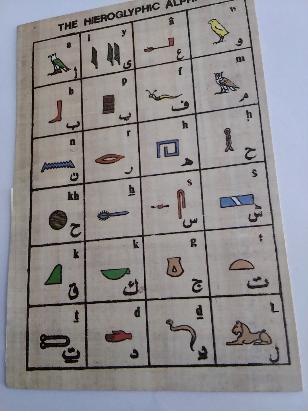 Oude Egyptische Hiëroglyfen Alfabet Prent op Papyrus, Gebruikt, 1980 tot heden, Ophalen of Verzenden, Prent