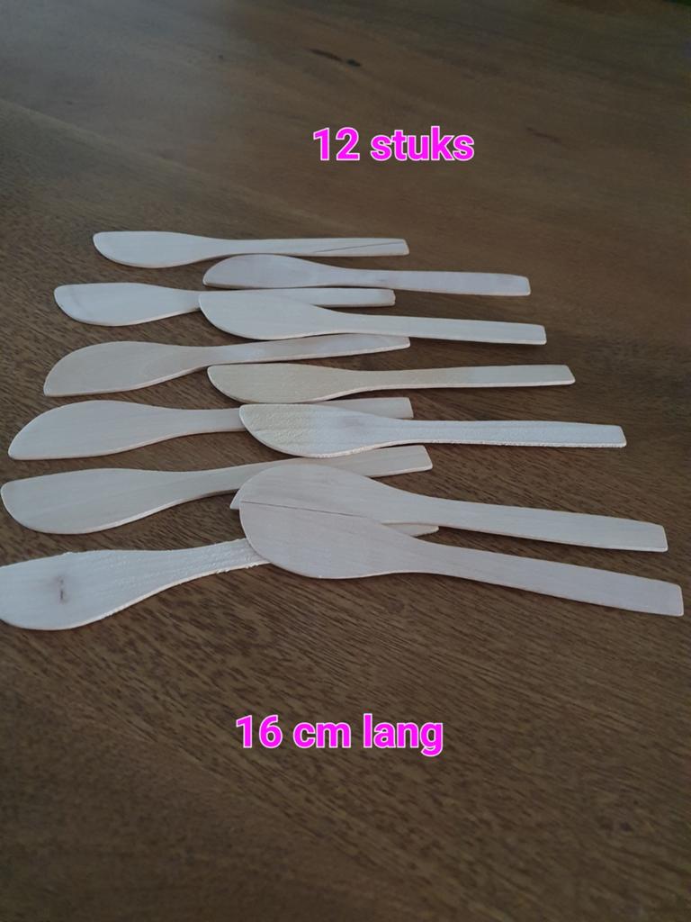 Set van 12 Nieuwe Mini Pollepels van Hout - 16 cm, Ophalen of Verzenden, Nieuw