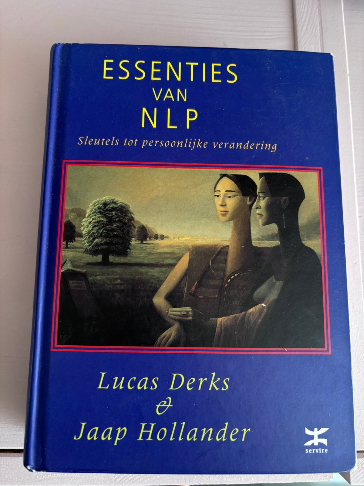 Essenties van NLP ( sleutels tot persoonlijke groei ), Ophalen of Verzenden, Zo goed als nieuw, Spiritualiteit algemeen, Overige typen