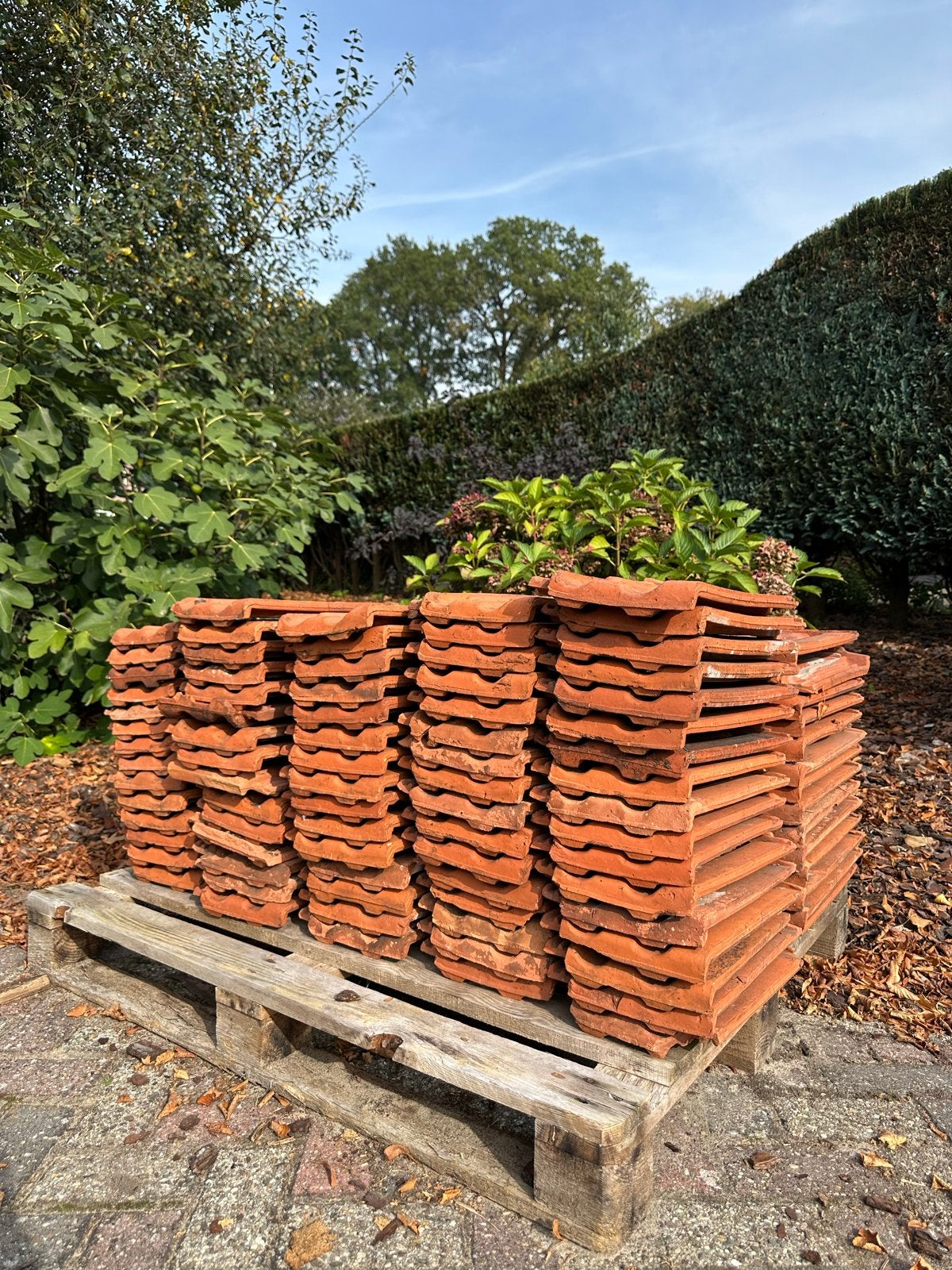 Historische mulden dakpannen Kurstjens - 143 stuks, Doe-het-zelf en Verbouw, Ophalen, Steen of Klei, Dakpannen, Rood