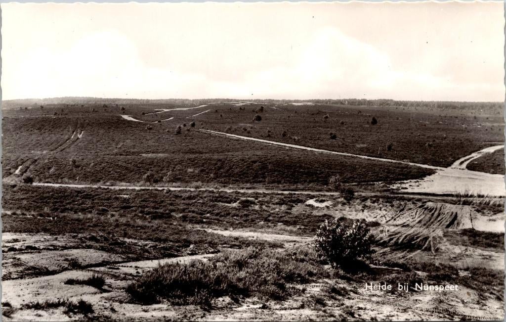 Heide bij Nunspeet, Verzenden, 1960 tot 1980, Ongelopen, Gelderland