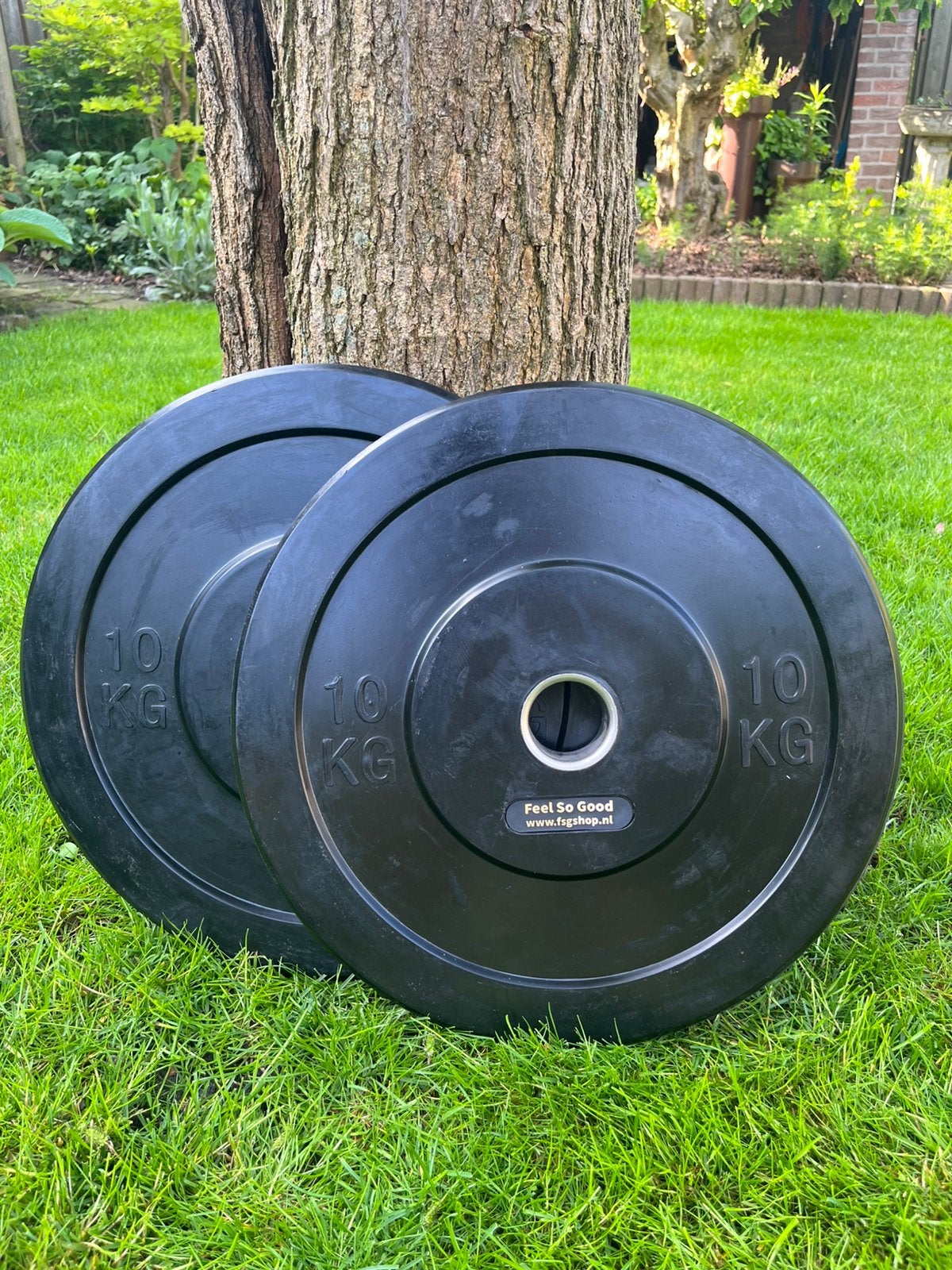 Bumper plates 5 & 10 kg, Ophalen, Zo goed als nieuw, Halterschijven