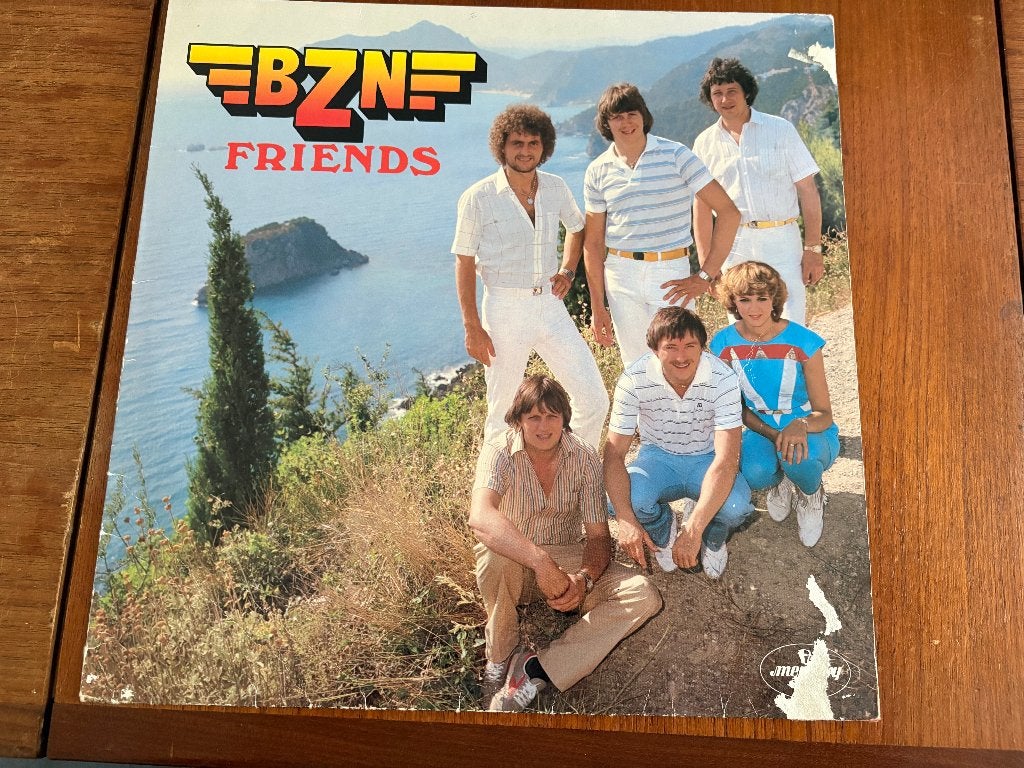 LP BZN Friends, Cd's en Dvd's, Vinyl | Pop, LP, Gebruikt, Pop, Ophalen of Verzenden