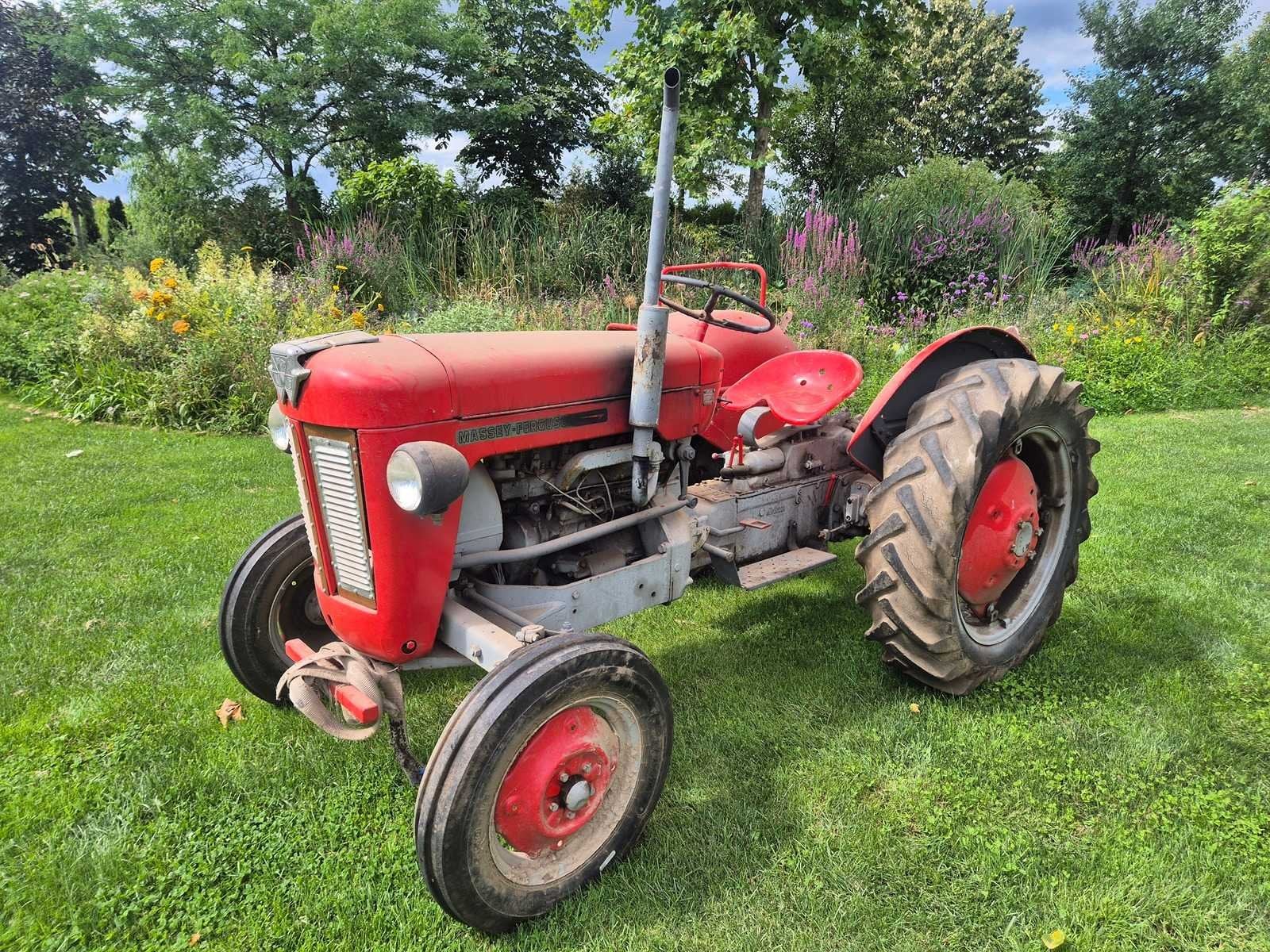 massey ferguson - 1963 - 25 - Oldtimer tractor, Zakelijke goederen, Oldtimer, Massey Ferguson