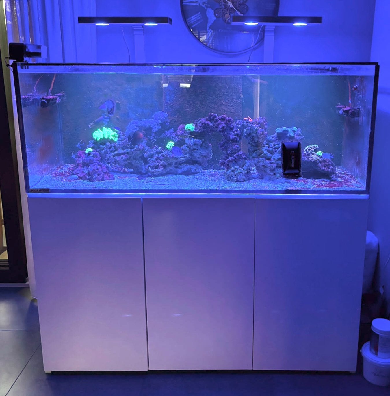Compleet Zeeaquarium 150X65x55. Aquamedic armatus 575XD, Ophalen, Zo goed als nieuw, Gevuld zeewateraquarium, Aqua Medic