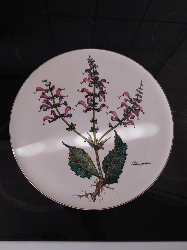 Botanica groot taart bord, Nieuw, Ophalen of Verzenden, Bord(en), Overige stijlen