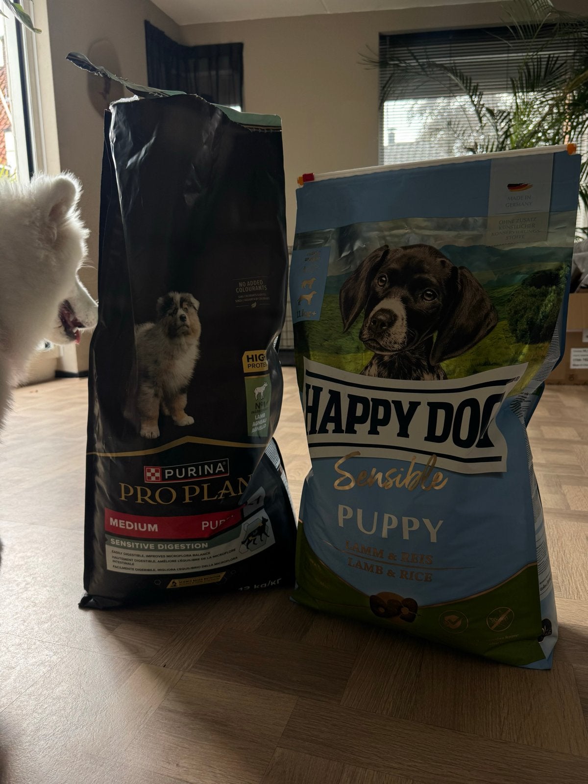 2x puppyvoeding (+/-8,7kg) Lam, Dieren en Toebehoren, Ophalen
