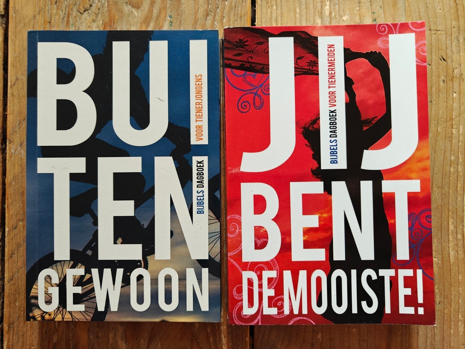 2 Bijbelse dagboeken voor tieners., Ophalen of Verzenden, Zo goed als nieuw
