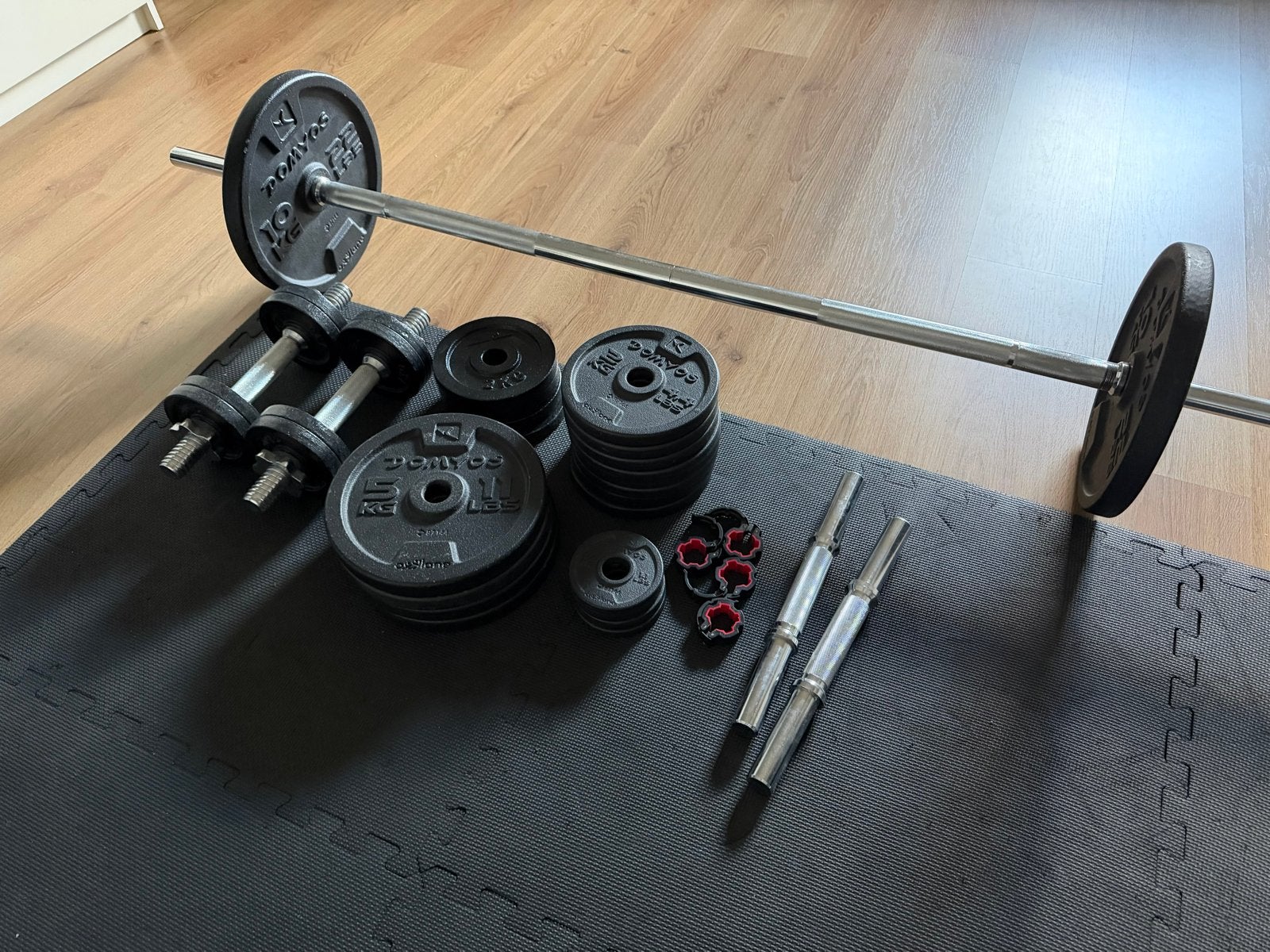 Dumbbell en halterset met diverse gewichten, Ophalen, Gebruikt, Armen, Halterset