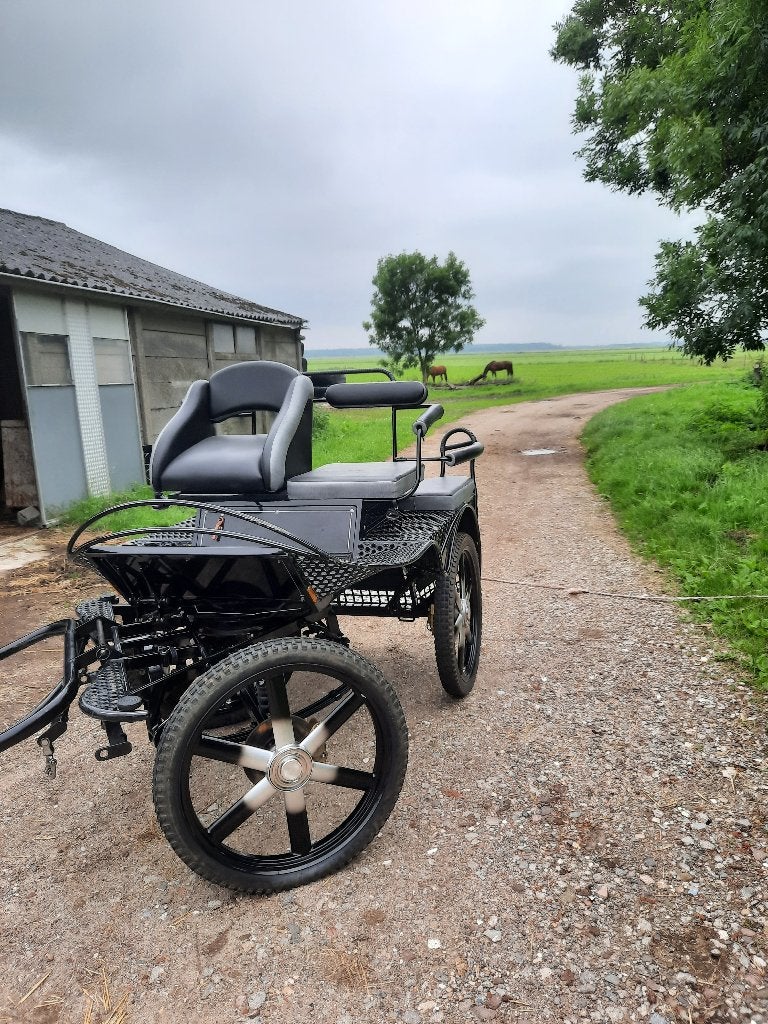 recreatie/marathonwagen met lamoen en tweespanboom, Gebruikt, Marathonwagen, Paard of Pony