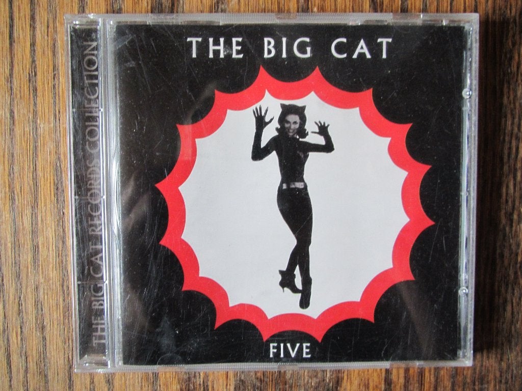 The Big Cat Five o.a. Luscious Jackson, Carter USM, Ophalen of Verzenden, Gebruikt, Rock en Metal