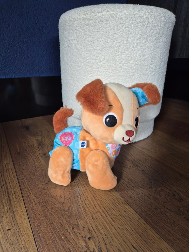 Vtech loop met mij puppy, Ophalen, Zo goed als nieuw, 6 maanden tot 2 jaar