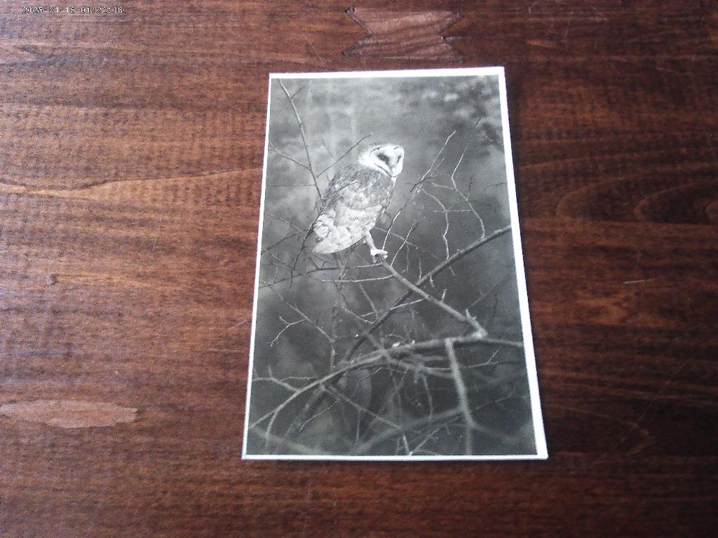 W33 - Texel - Kerkuil - 1935 - Mooi/Oud, Ophalen of Verzenden, 1920 tot 1940, Waddeneilanden