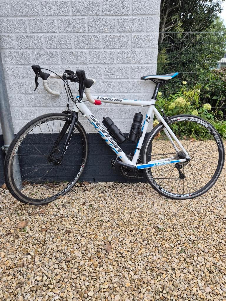 Sensa Umbria Sora Racefiets - Wit/Blauw, Fietsen en Brommers, Fietsen | Racefietsen, 28 inch, Gebruikt, Heren, Aluminium