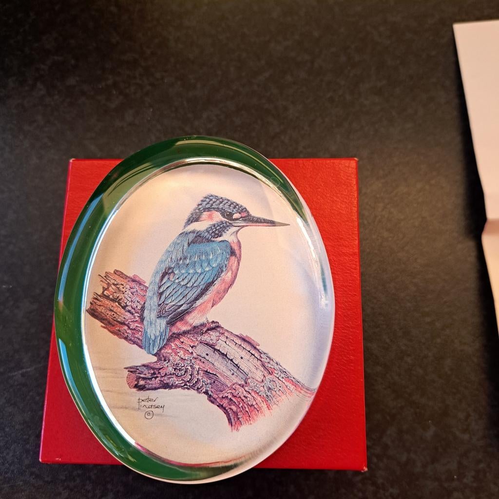 Presse-paper met ijsvogel op tak., Ophalen of Verzenden