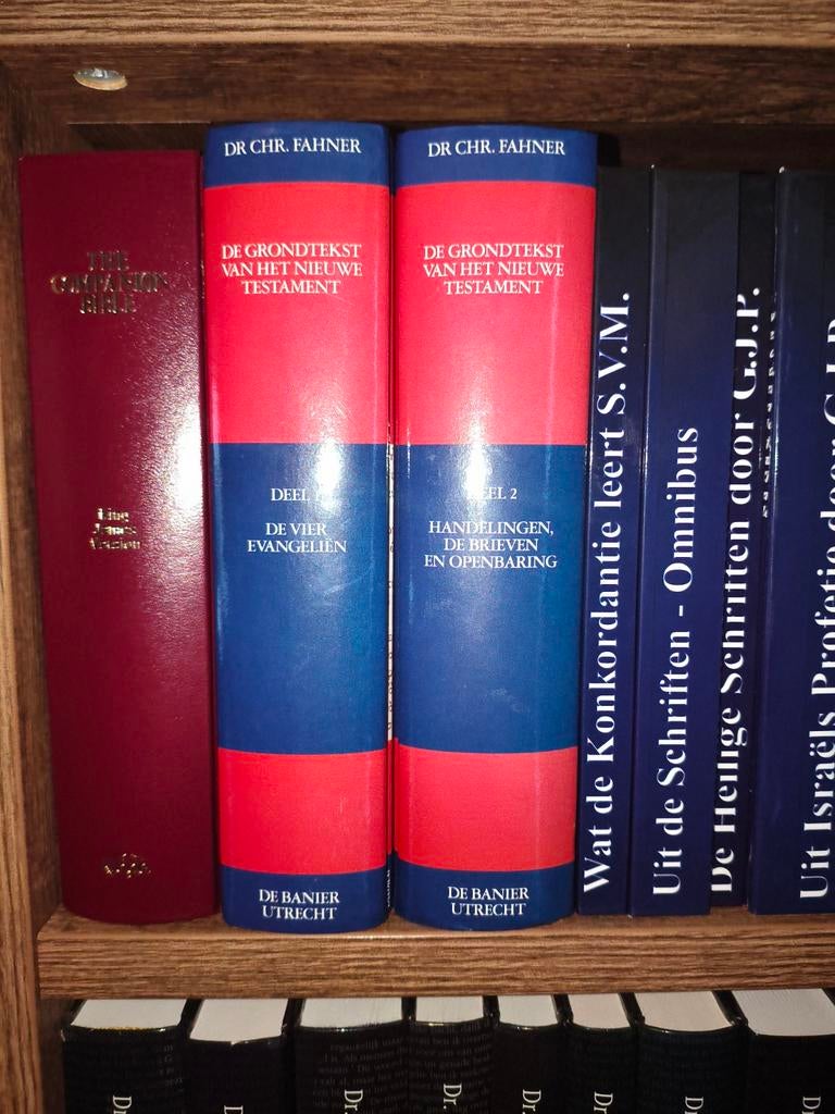 De Grondtekst van het Nieuwe Testament - Dr. Chr. Fahner, Ophalen, Gelezen, Dr. Chr. Fahner, Christendom | Protestants