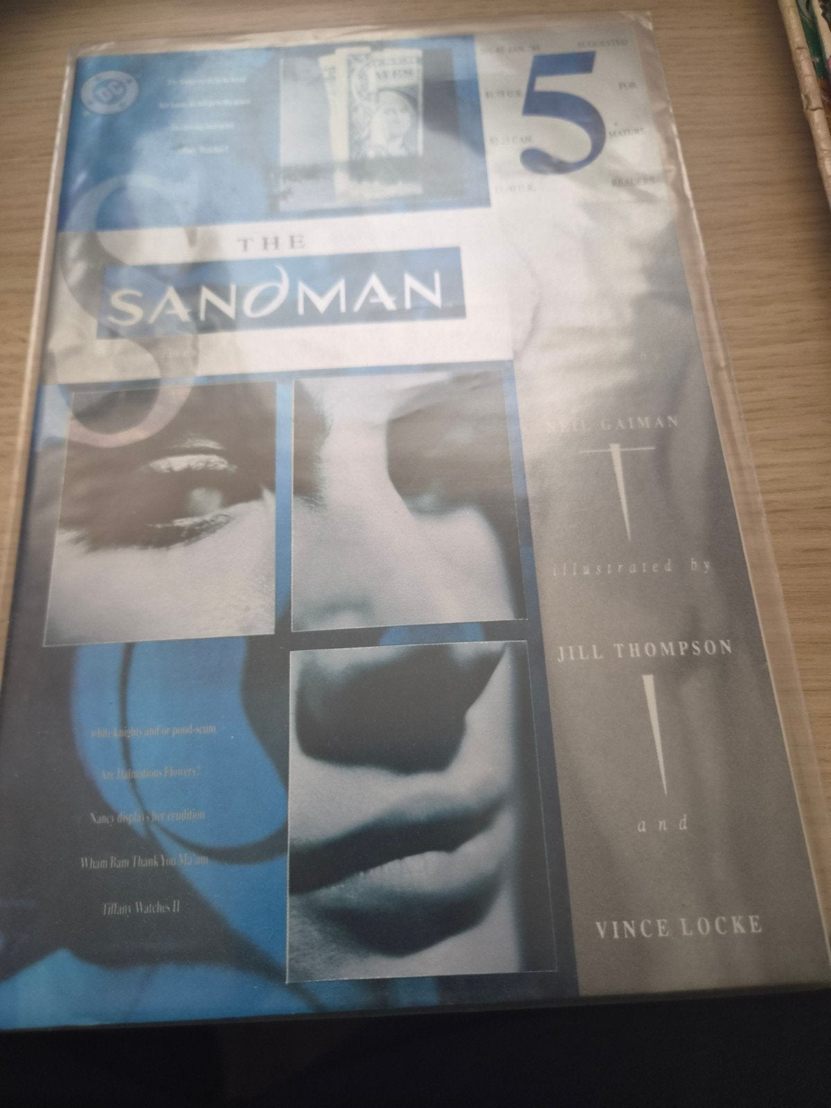 The Sandman #5 - Neil Gaiman, Jill Thompson, Vince Locke, Ophalen of Verzenden