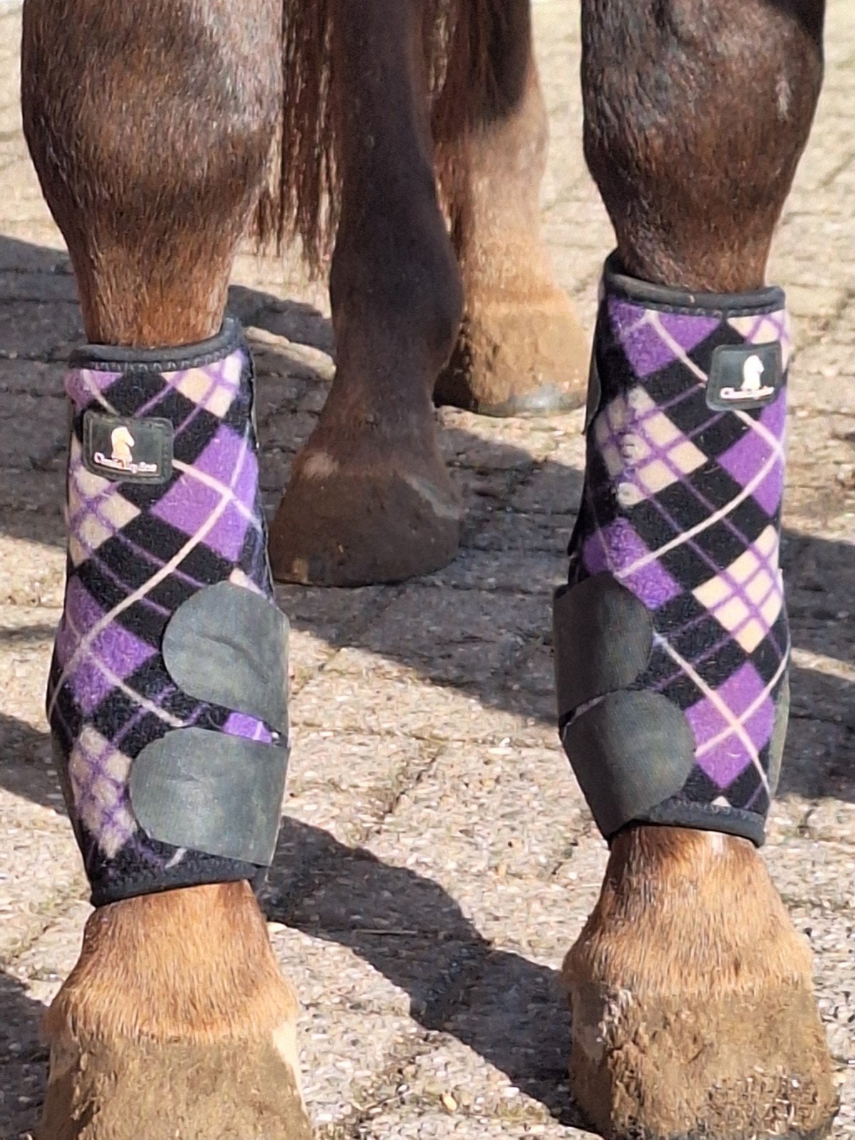 western beenbeschermers classic equine, Overige merken, Ophalen of Verzenden, Zo goed als nieuw, Peesbeschermers