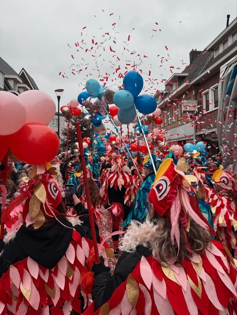 Loopgroep vogels!, Ophalen, Zo goed als nieuw, Maat 38/40 (M), Carnaval