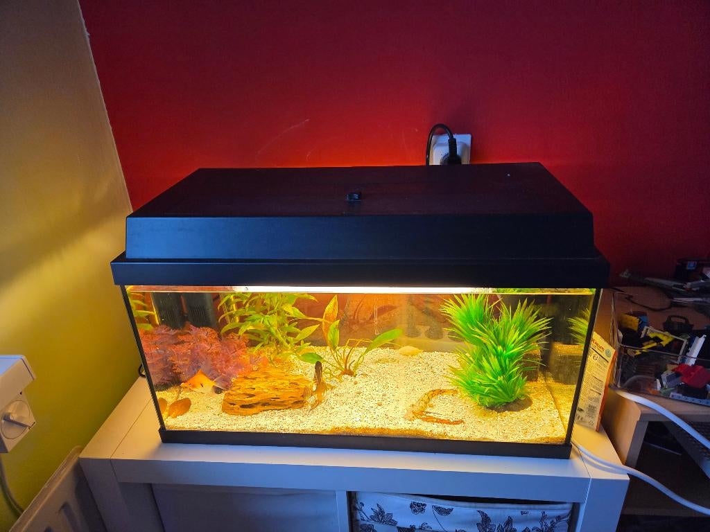 Aqarium  met alles erbij 60 euro, Dieren en Toebehoren, Ophalen, Inclusief vissen, Zo goed als nieuw, Overige typen