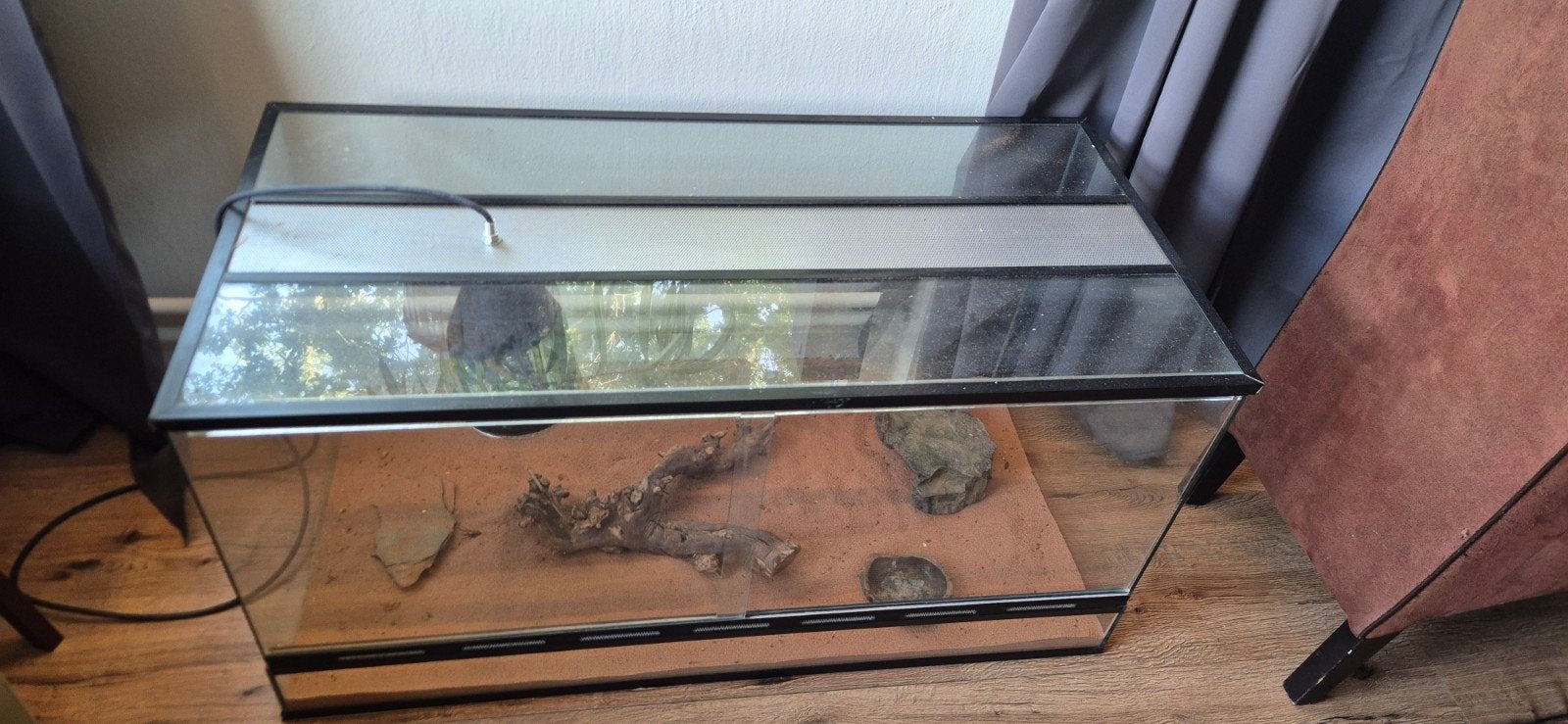 terrarium met alle benodigdheden, Ophalen