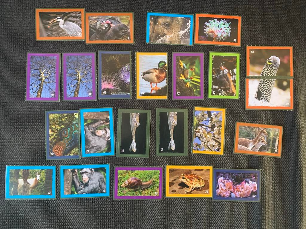 Verzamelkaartjes Artis 2026, Ophalen of Verzenden, 1980 tot heden, Ongelopen, Wild dier