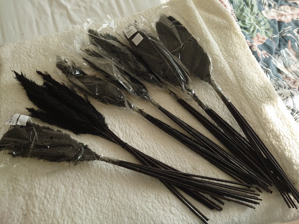 7 bossen à 10 takken Wild Reed Black, Verzenden, Nieuw