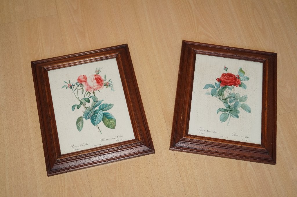 Set van 2 ingelijste botanische rozenprenten – P.J. Redouté, Ophalen