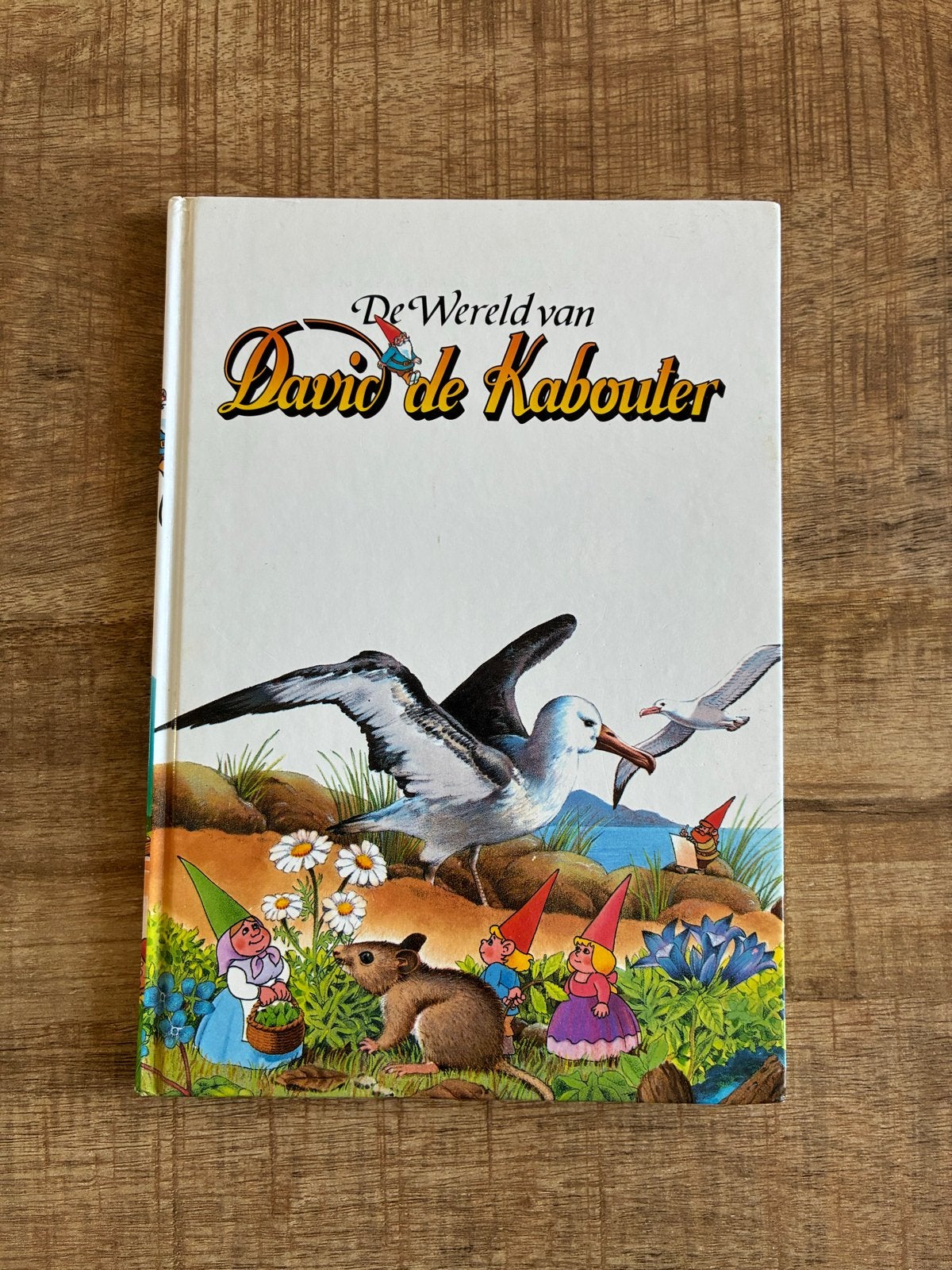 De Wereld van David de Kabouter - Vintage Kinderboek, Boeken, Ophalen of Verzenden, Zo goed als nieuw, Sprookjes
