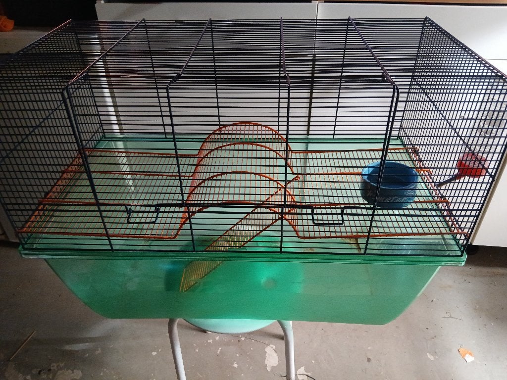 Hamster Kooi, Dieren en Toebehoren, Kooi, Gebruikt, Ophalen, Minder dan 60 cm