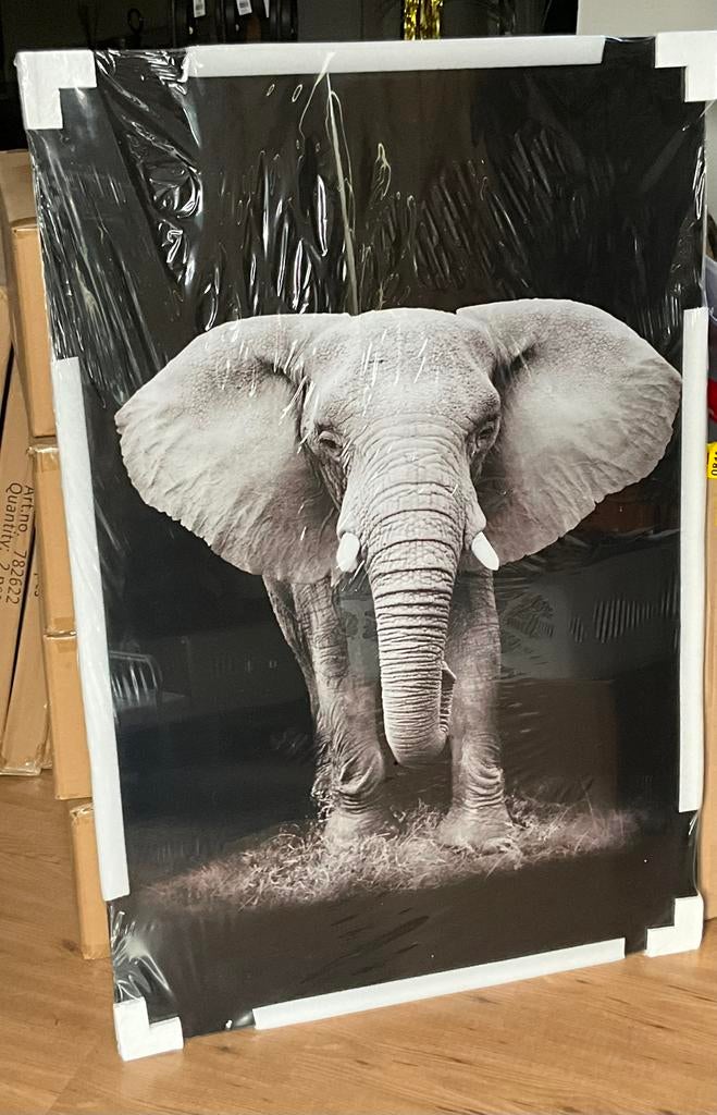 Glasschilderij “Wild life olifant” 80x120cm - countryfield, Ophalen, Nieuw, Schilderij