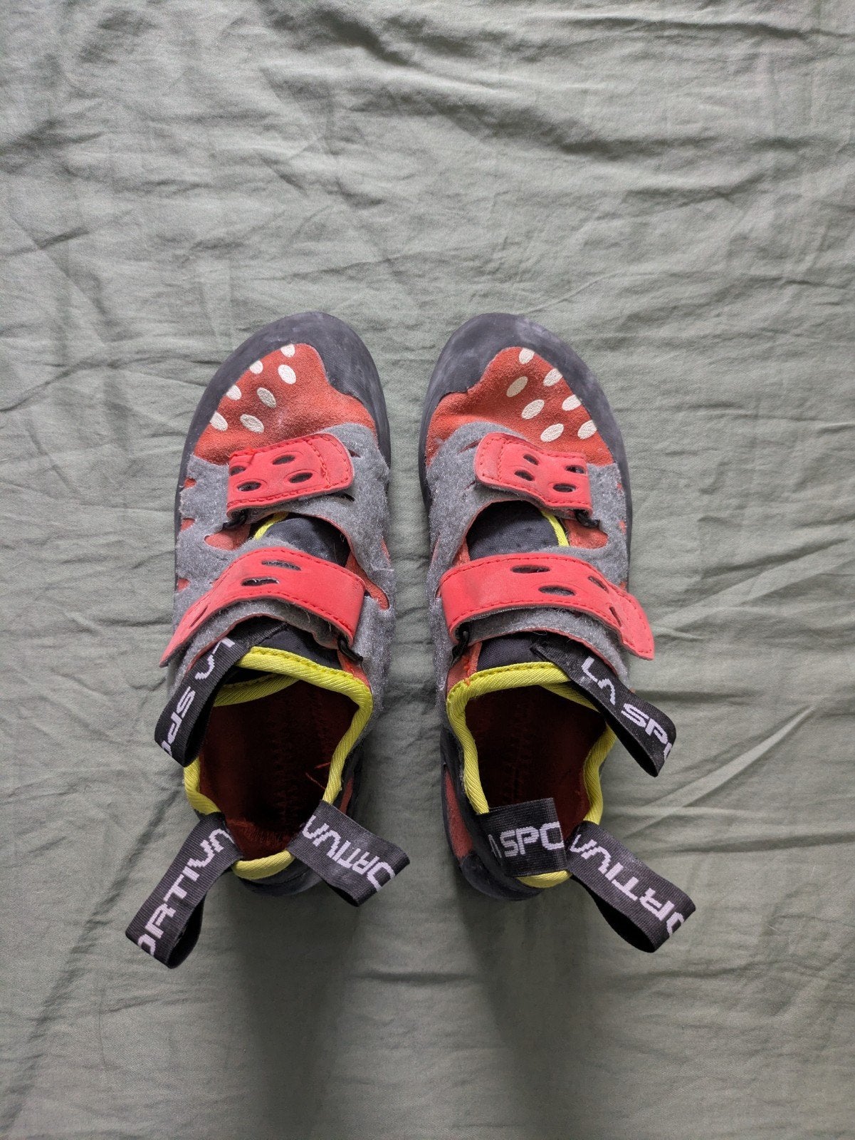 Boulderschoenen La Sportiva Tarantula 36,5, Ophalen of Verzenden, Zo goed als nieuw, Klimsportschoenen