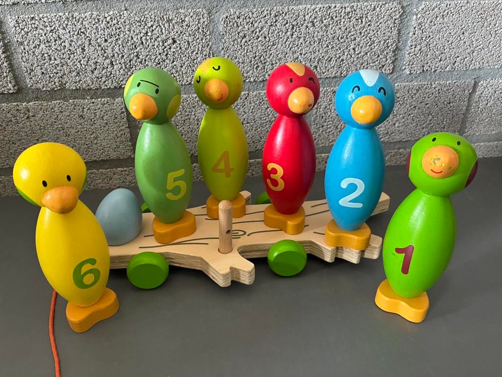 Houten bowlingset, Ophalen of Verzenden, Zo goed als nieuw, Overige typen