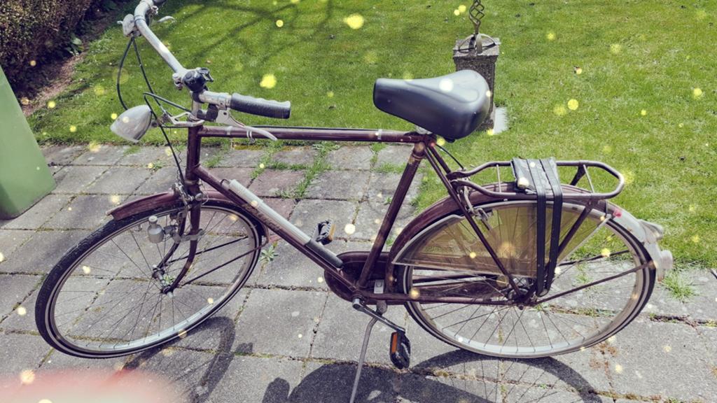 Releigh fiets. Opknapper., Ophalen, Gebruikt, Overige merken