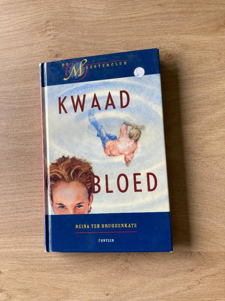 Boek Reina ten Bruggenkate, Ophalen of Verzenden, Gelezen