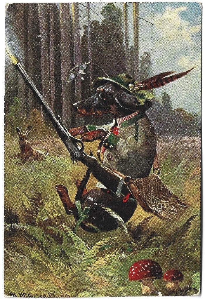 Teckel; Op jacht ( wenskaart ), Verzenden, 1920 tot 1940, Hond of Kat
