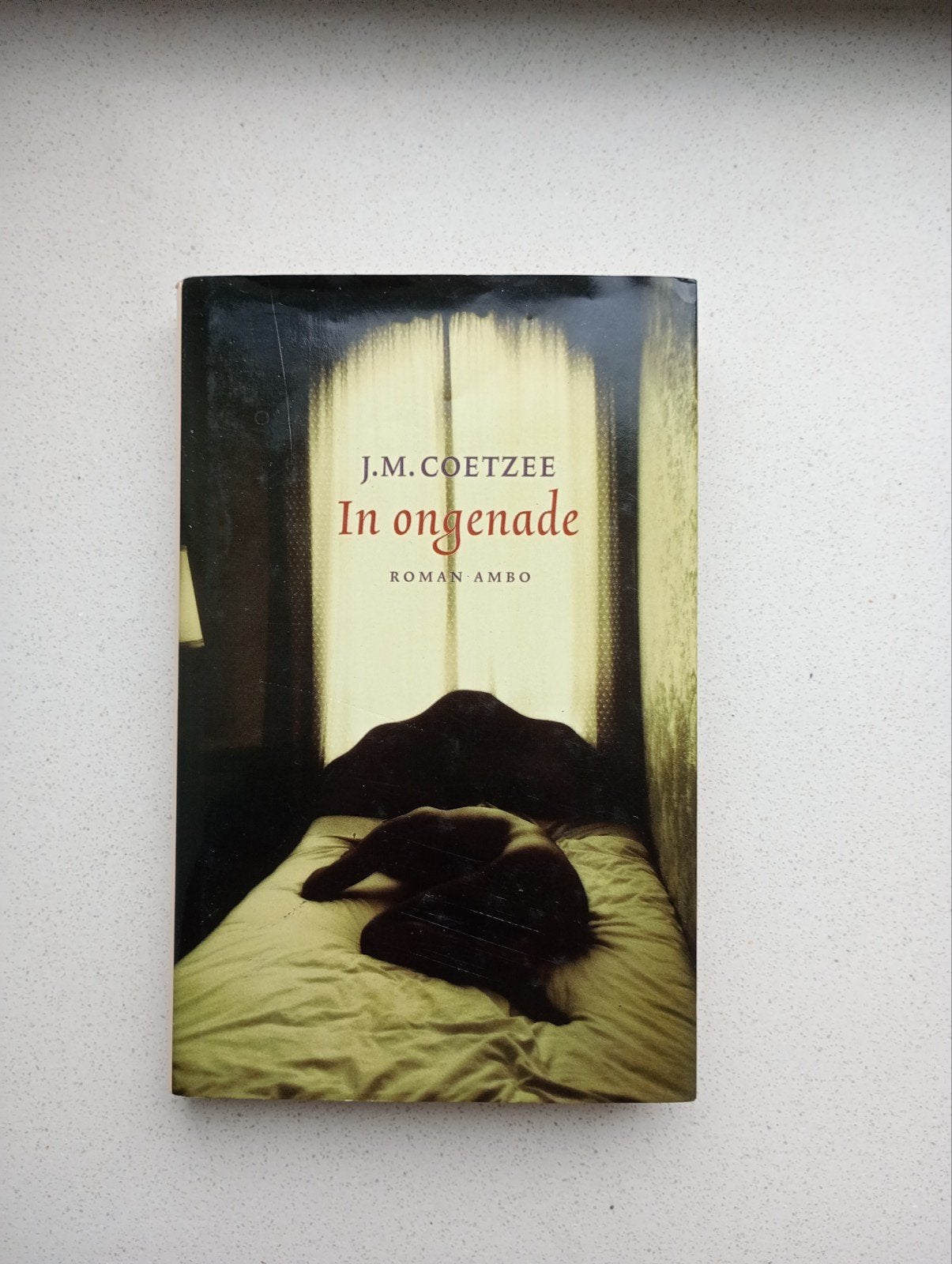 In Ongenade - J.M. Coetzee, Boeken, Ophalen of Verzenden, Gelezen