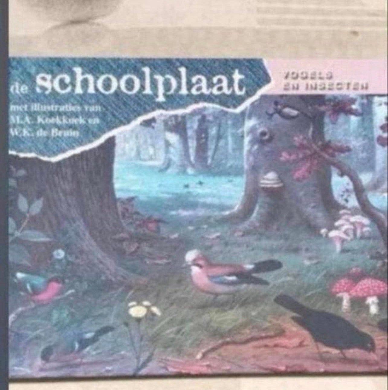 De Schoolplaat: Vogels en Insecten - Natuurillustraties, Ophalen of Verzenden, Natuur en Biologie