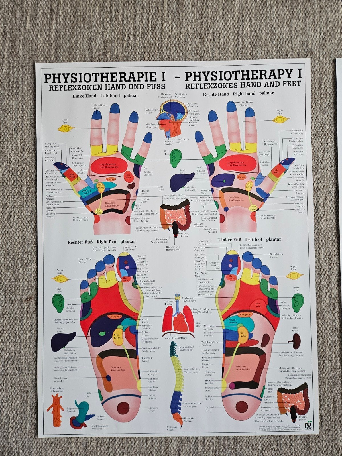 rudiger poster reflexzones hand en voet, Ophalen of Verzenden, A1 t/m A3, Sport