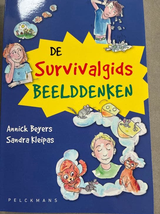 De Survivalgids Beelddenken - Annick Beyers & Sandra Kleipas, Ophalen of Verzenden, Nieuw, Non-fictie